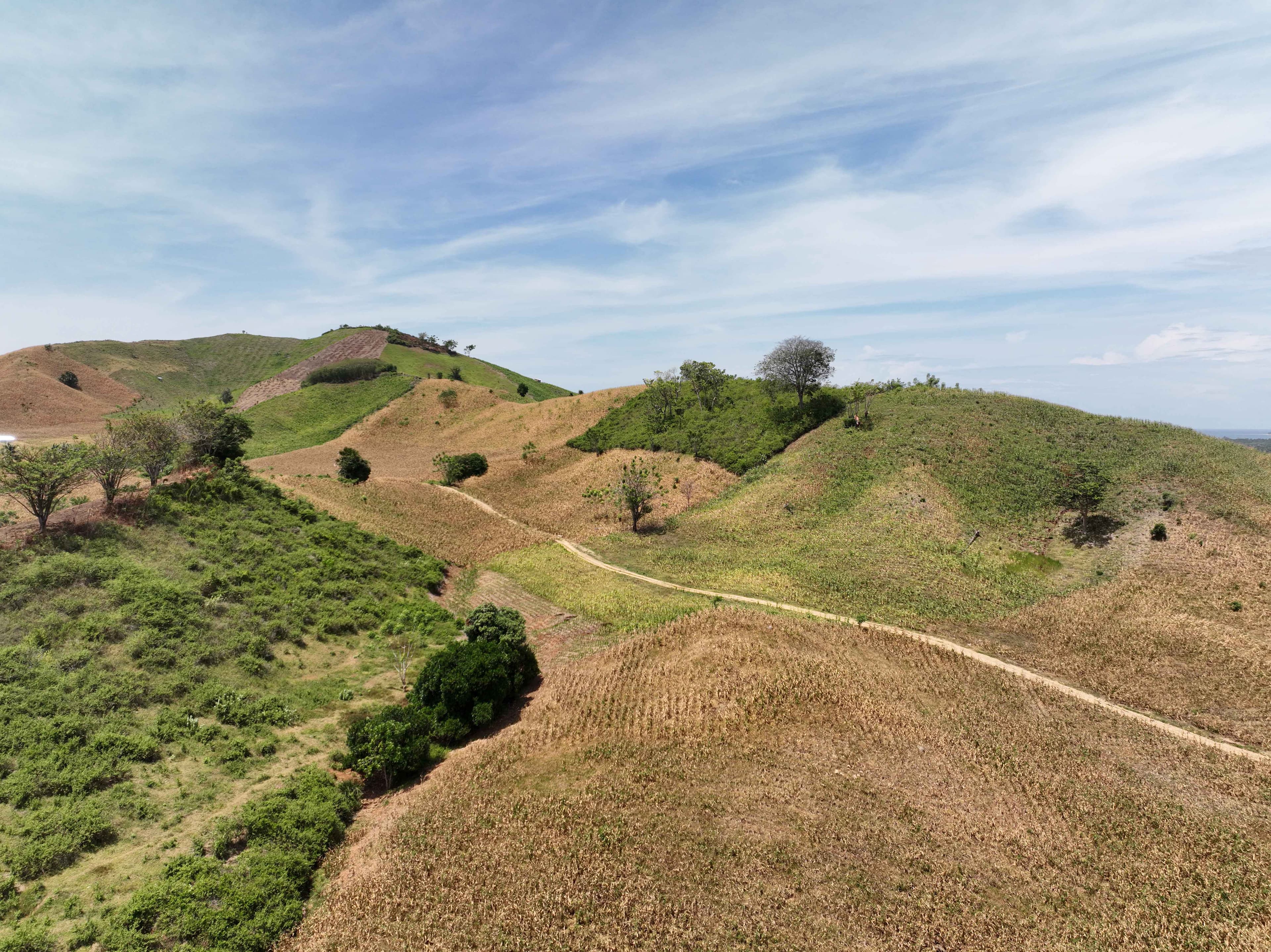MDKA_2023_Pani-Gold-Project_Area_12_.jpg